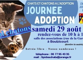Journée adoption le 29 aout