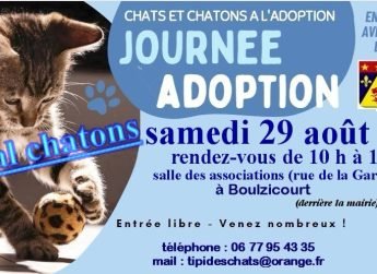 Journée adoption le 29 aout