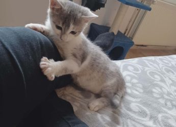 Agrid deux mois et demi