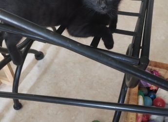 FLOPPY, 3 mois