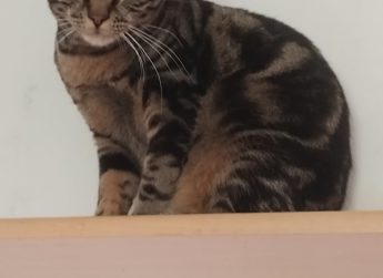 Moka, 1 an