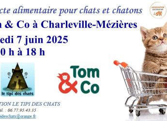 Collecte alimentaire
