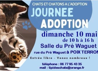 Journée adoption 10 mai