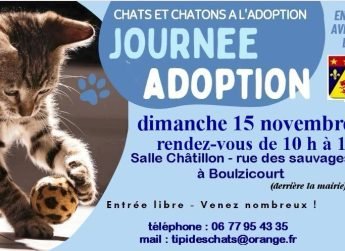 Journée adoption