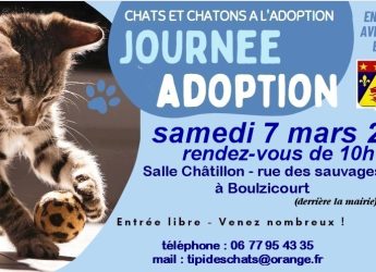 Journée adoption 7 mars Boulzicourt