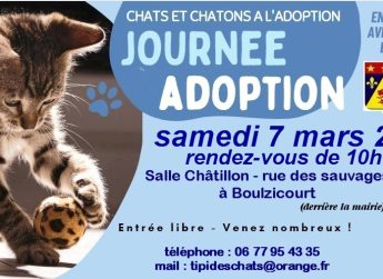 Journée adoption 7 mars Boulzicourt