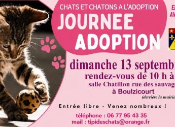 Journée adoption