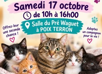 Journée adoption le 17 octobre 2026