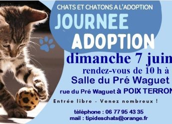 Journée adoption 7 juin